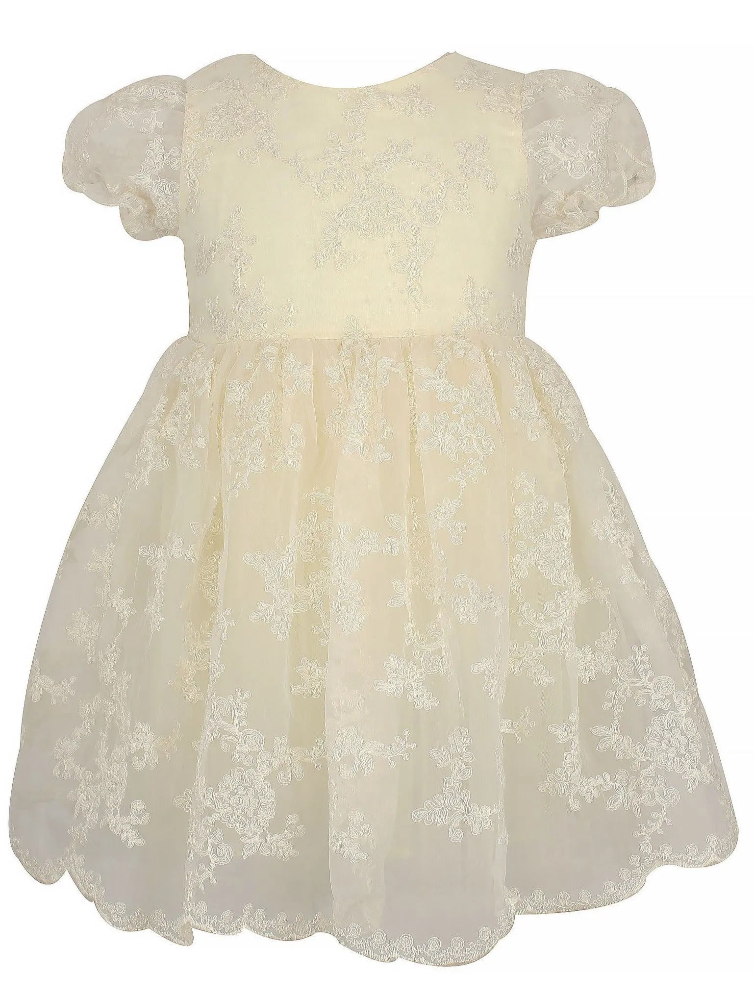 Baby Girls and Little Girls Elegant Lace Organza Dress