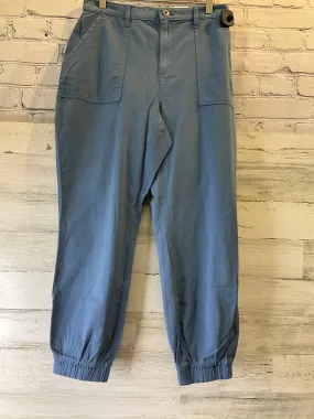 Blue Pants Cargo & Utility Style And Company, Size 10